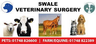 Swale Vets